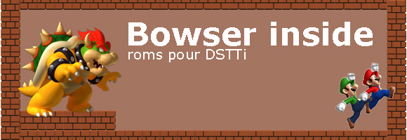 Bowser inside